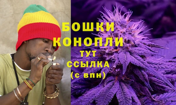 ГАЛЛЮЦИНОГЕННЫЕ ГРИБЫ Касимов