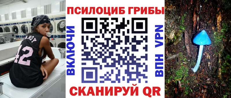 Купить  Зерноград  Галлюциногенные грибы Cubensis 