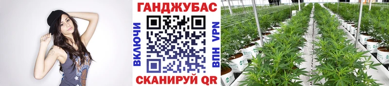 Бошки марихуана White Widow  Купить закладки  Зерноград 